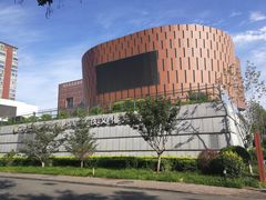 -中国宋庆龄青少年科技文化交流中心