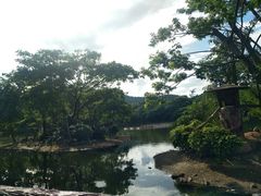 -清迈夜间动物园