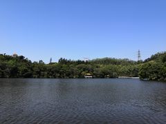 -深圳仙湖植物园