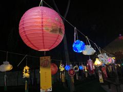 -宠乐会宠物乐园