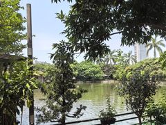 -绿雅居原生态农庄(小涌店)