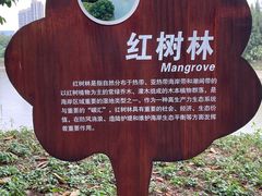 -五缘湾湿地公园
