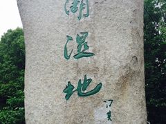 -溱湖国家湿地公园