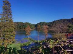 -广州市石门国家森林公园