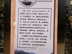 -青藏高原野生动物园