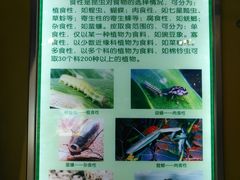 -上海昆虫博物馆