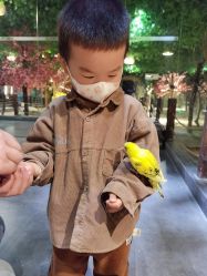 -酷嗒动物文化乐园(cutezoo西溪乐天城店)