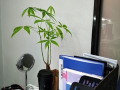 -牙博士口腔品牌连锁(杨浦店)