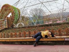 -陶祖圣境风景区