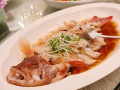 -上海锦江汤臣洲际大酒店