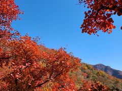 -周口店坡峰岭风景区