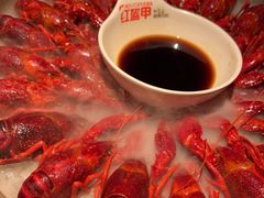 -红盔甲·小龙虾(人民广场店)