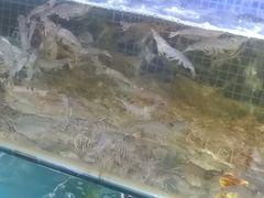 -蟹老板的海鲜