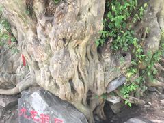 -孤山寨风景区