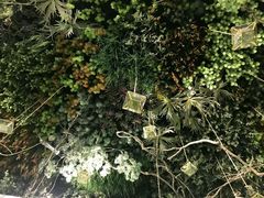 -潮粥荟·潮汕砂锅粥(朝阳大悦城店)