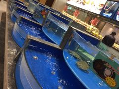-凤栖酒店