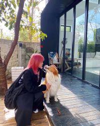 -BULB STUDIO 巴柏明星发型工作室