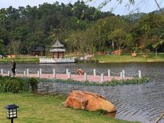 -国恩寺