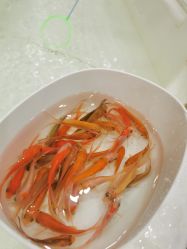 -丁当乐园(经纬汇店)