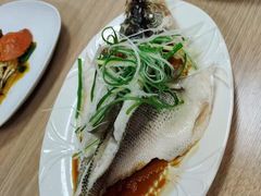 -天鹅到家·保姆月嫂育儿嫂(朝阳店)