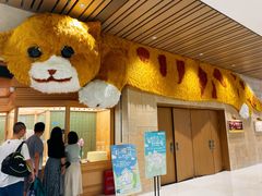 -帕帕拉兹宠物(亚洲旗舰店)