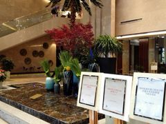 -常州环球恐龙城维景国际大酒店