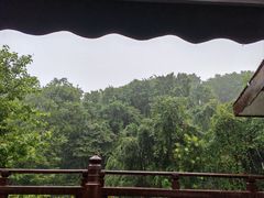 -龙井壹号·茶缘山景宴(龙井村店)