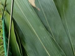 -东天目山风景区