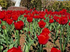 -翠湖宾馆·中餐厅
