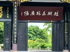 -桂湖森林公园