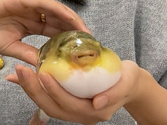 -味雅大酒店