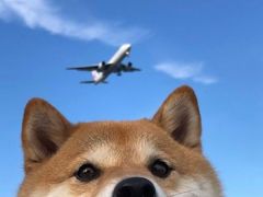 -锦府盐帮·李宅(领展购物广场中关村店)