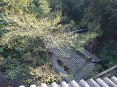 -韬光茶庵