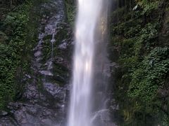 -莫里热带雨林景区
