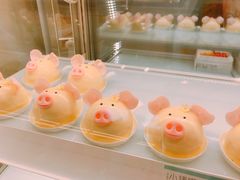 -蒲公英(五里店)