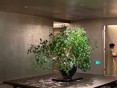 -隐溪茶馆(静安寺店)