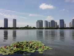 -尚贤河湿地