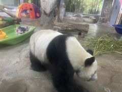 -海南热带野生动植物园