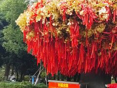 -狼山风景名胜区