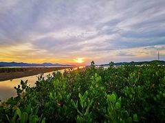 -盐洲岛