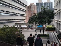 -香港大学