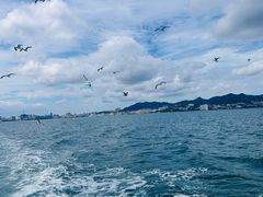 -刘公岛景区