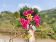 -军营村