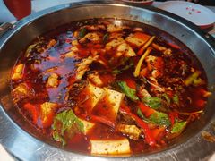 -蜀滋香鲜鱼美蛙火锅(339店)