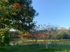 -中国科学院西双版纳热带植物园