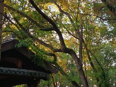 -西溪南古村落