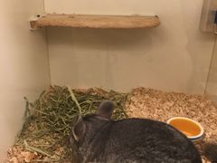 -龙猫仔乐园(惠福东路店)