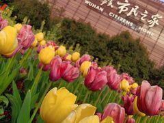 -武汉市民之家