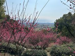 -宁波市保国寺古建筑博物馆
