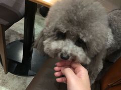 -麦田工坊(月湖店)
